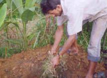 Rural Water Supply and Sanitation Project (RWSS)