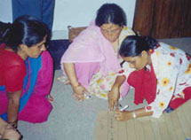 Women in Health, Education, Environment and Local Resources (WHEEL)