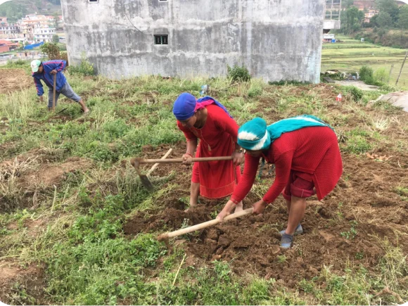 Project “FAITH” (Food Available in The Home)